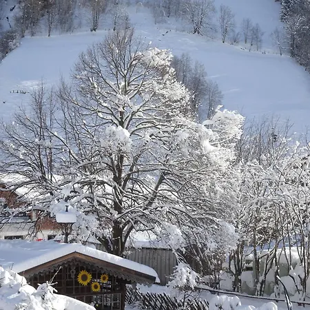 Gaestehaus Luggau *