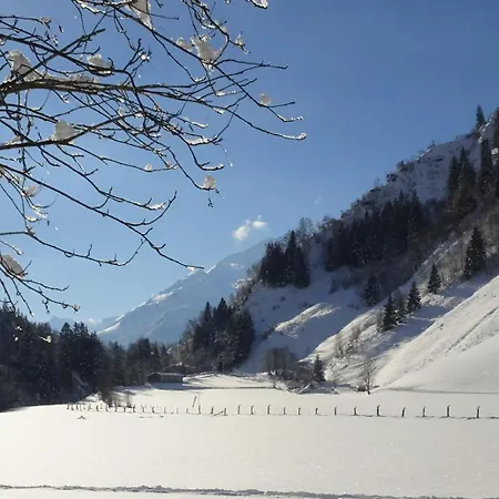 Daire Gaestehaus Luggau *