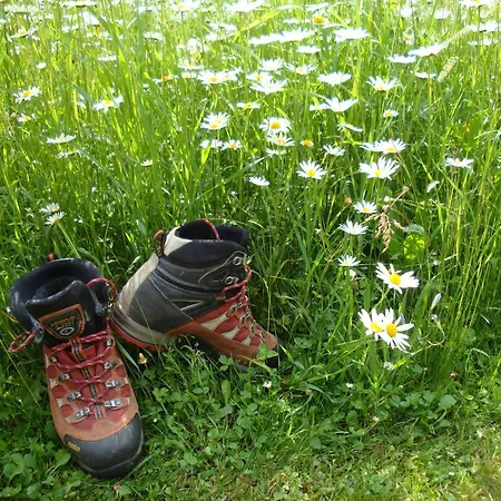 Gaestehaus Luggau * ראוריס