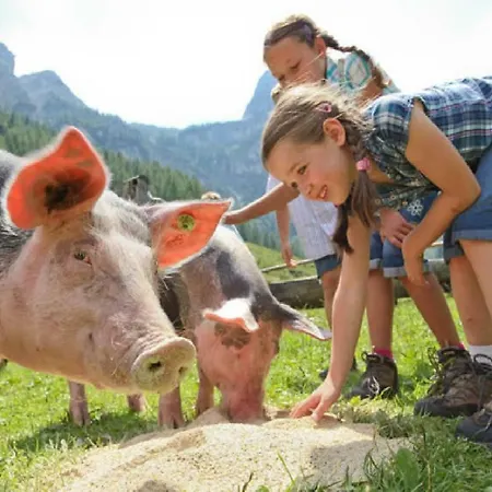 Gaestehaus Luggau * 라우리스