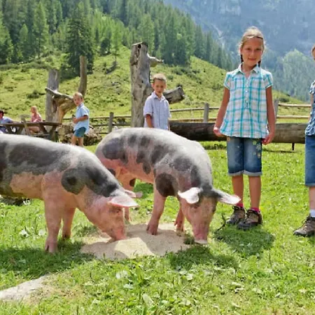 Gaestehaus Luggau Daire