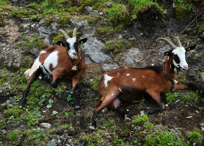 Gastehaus Luggau Lägenhet *