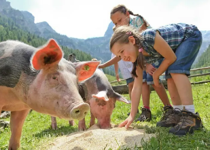 Gastehaus Luggau * Rauris
